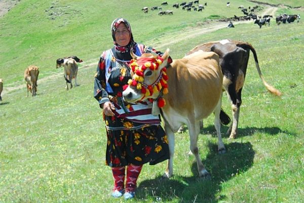 Yayla Göçleri-2013