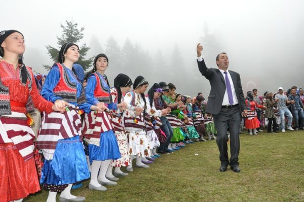 Göllüalan-2013