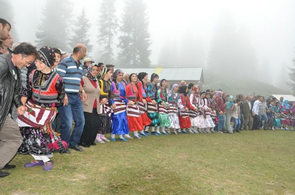 Göllüalan-2013