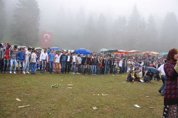 Göllüalan-2013